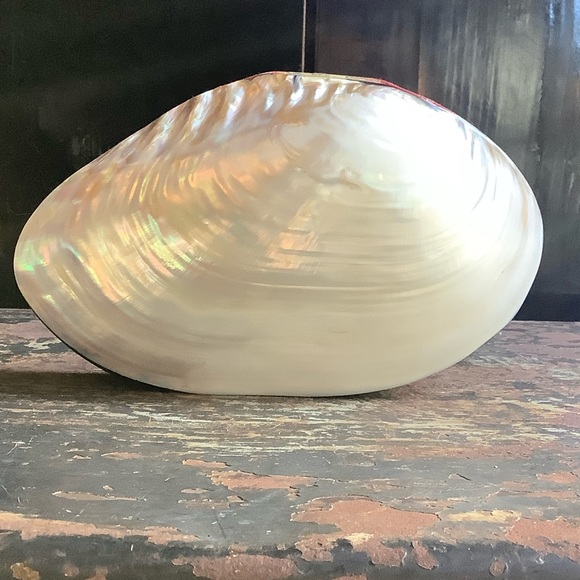 Other - Vintage Large Mother of Pearl Clam Shell and Abalone Box
